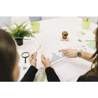 The Era of Carbon Reporting: The Emerging Role of Accountants in Driving ESG Transformation The Era of Carbon Reporting: The Emerging Role of Accountants in Driving ESG Transformation