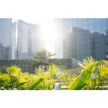 The Financial Value of the ‘S’ Pillar: A New Hotspot in 2026 Sustainability Disclosures—How Employee