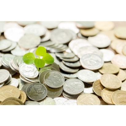 Carbon Fees vs. Carbon Taxes