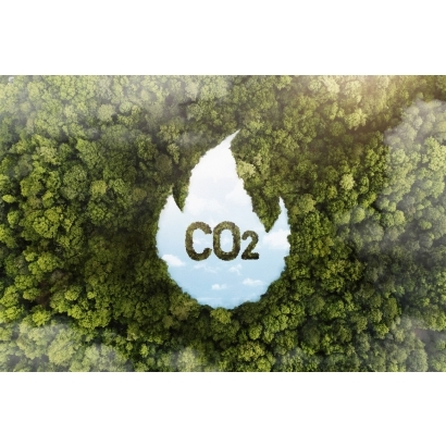  Climate Disclosure