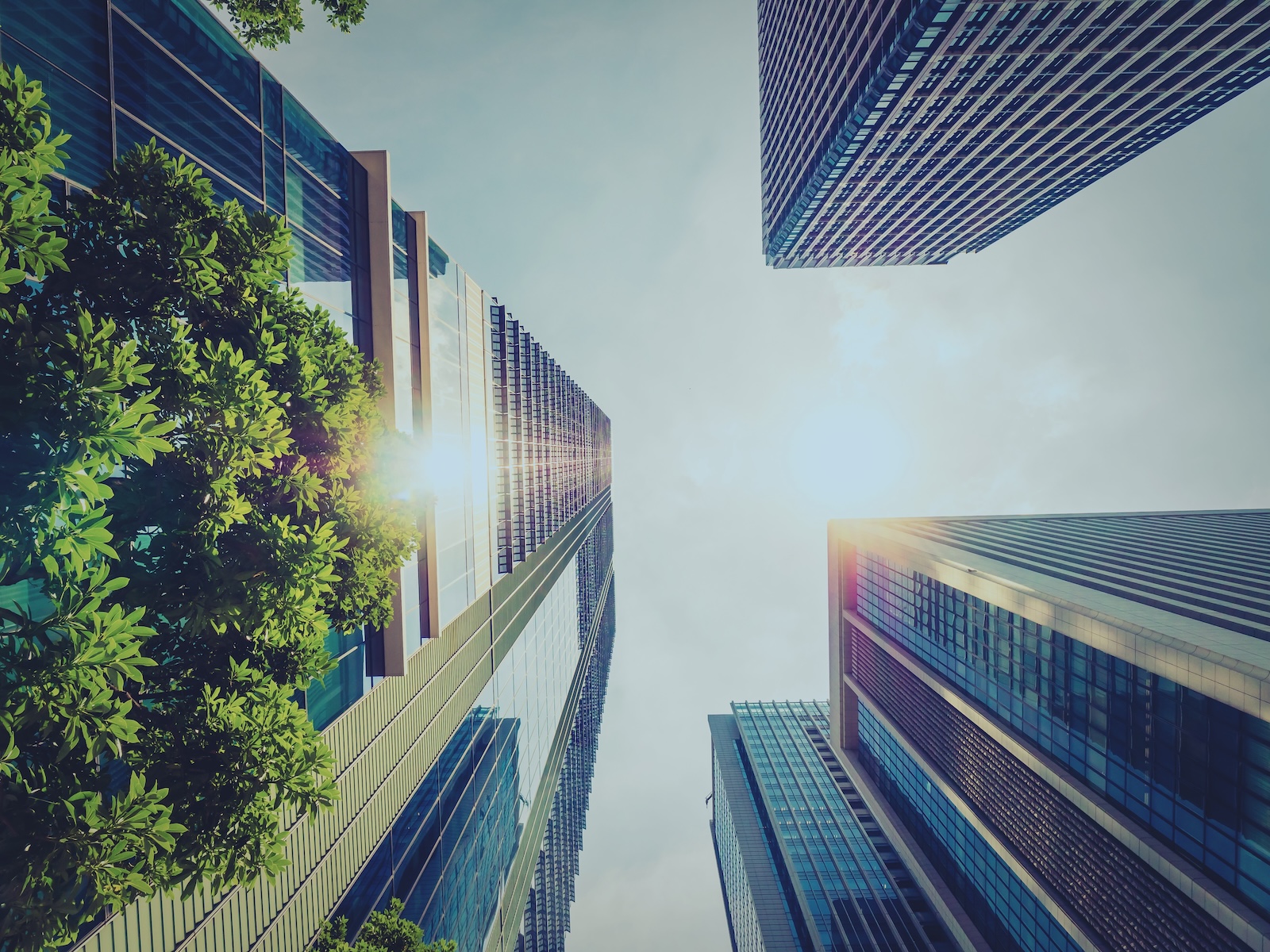 sustainability-linked financial framework