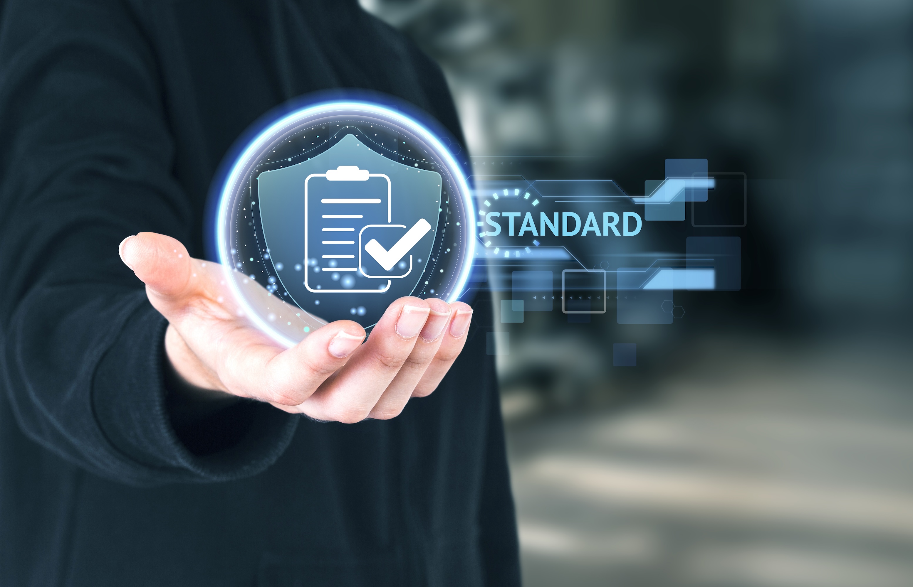 Disclosure and Audit Costs