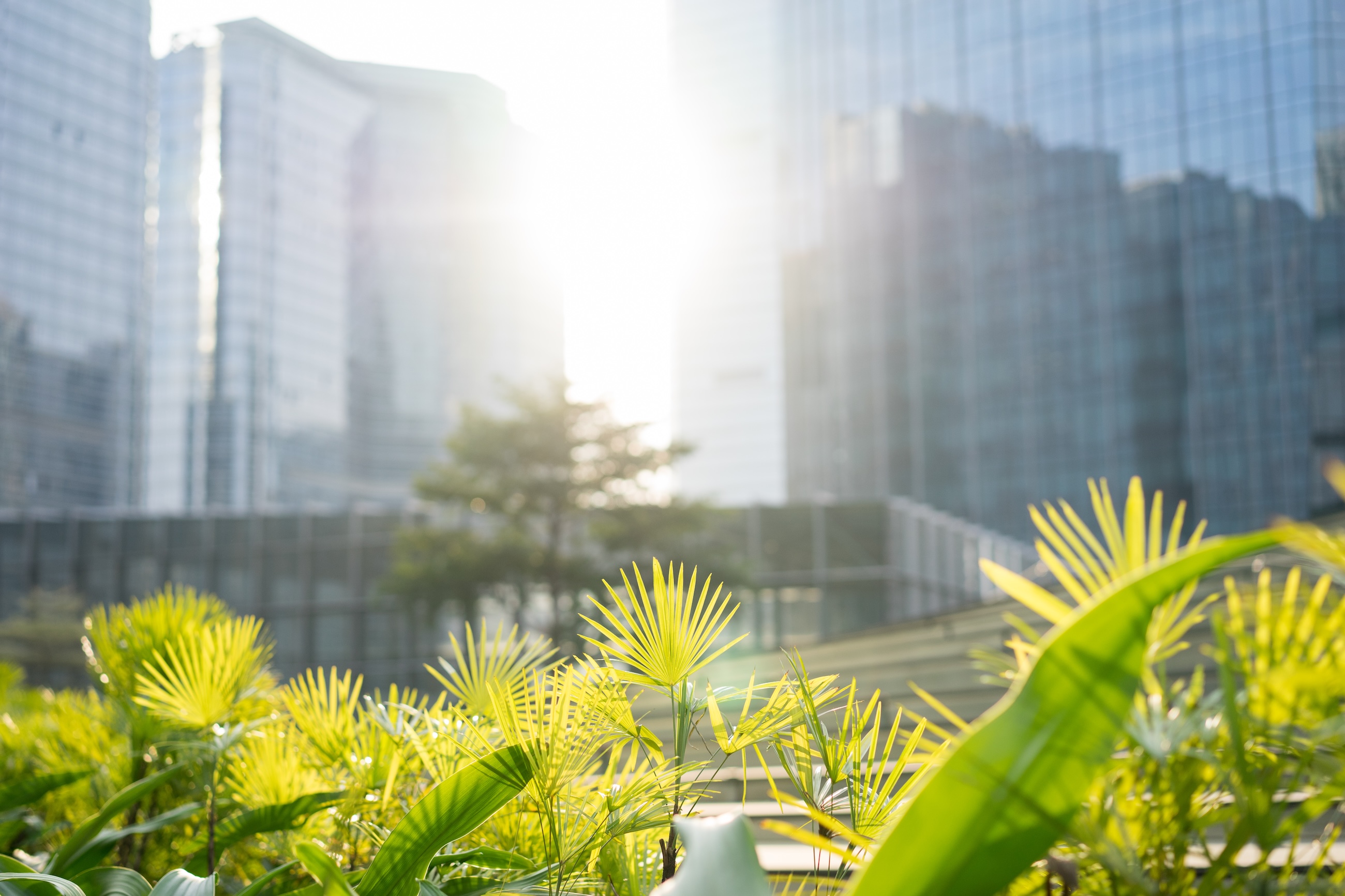 Corporate Sustainability Reporting Directive (CSRD)