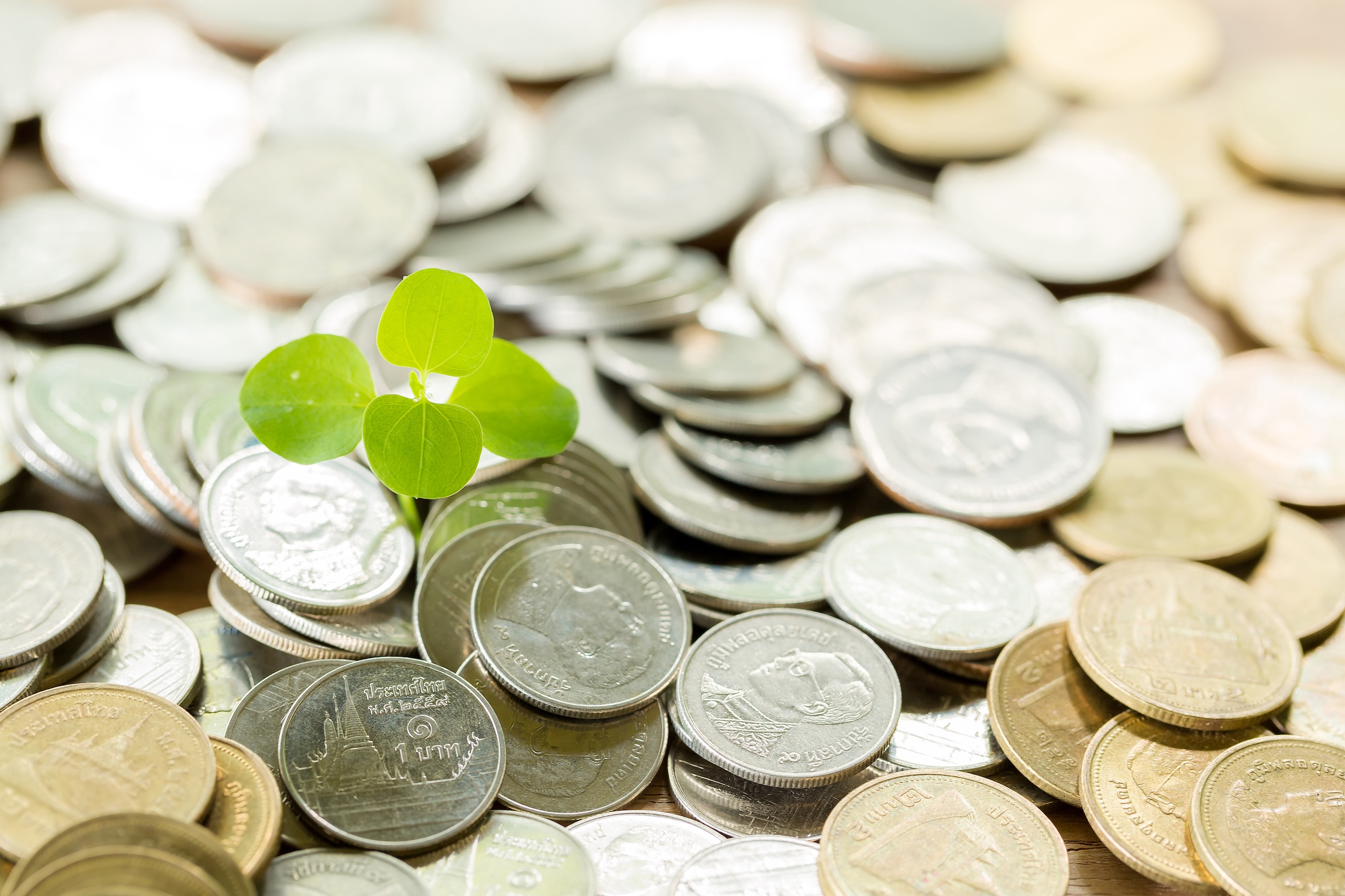 Carbon Fees vs. Carbon Taxes