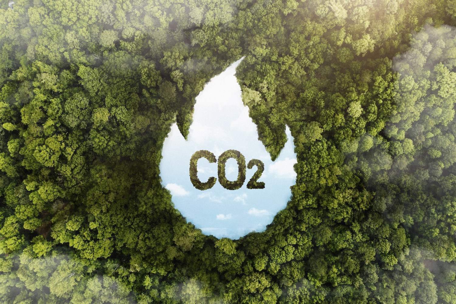  Climate Disclosure