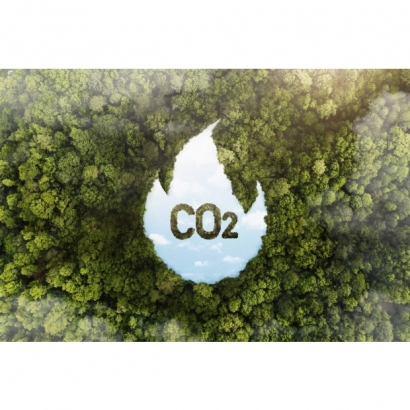 Climate Disclosure